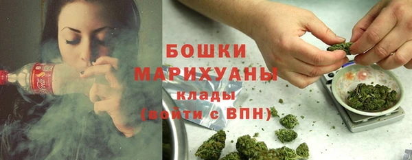 крисы Баксан