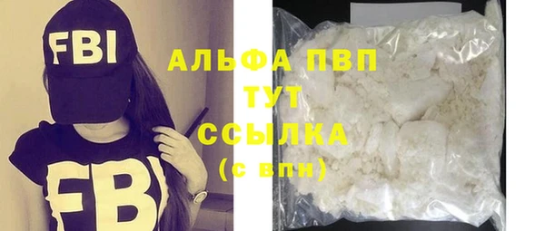 крисы Баксан