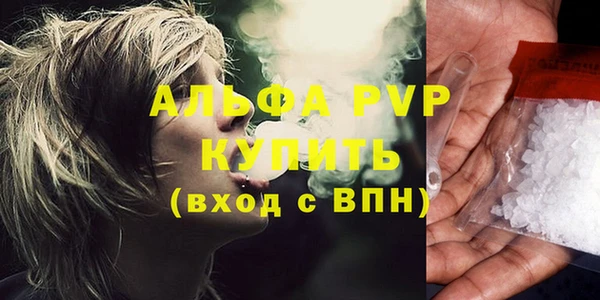 крисы Баксан