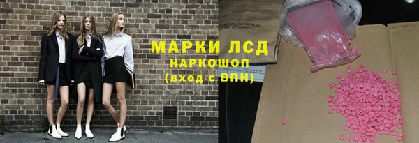 крисы Баксан