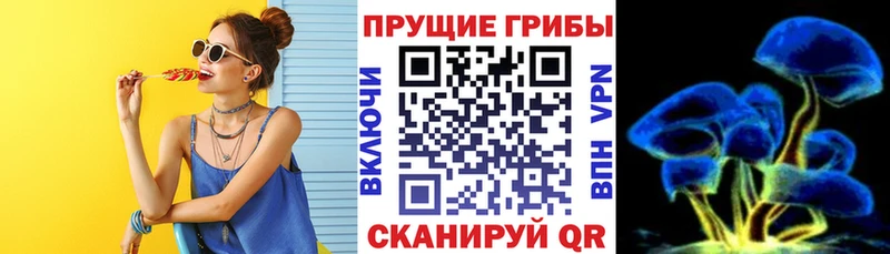 kraken tor  Верея  Псилоцибиновые грибы GOLDEN TEACHER  цена наркотик 