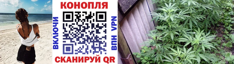 наркошоп Верея Каннабис White Widow